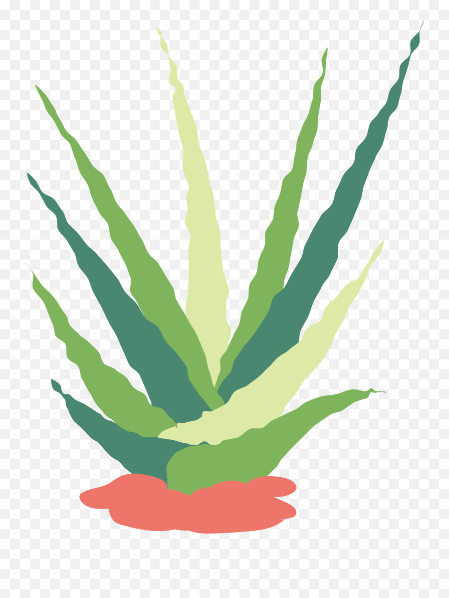 Banner Royalty Free Stock Cactaceae Succulent Flat Clipart - Watercolor Painting Png,Succulent Icon Transparent
