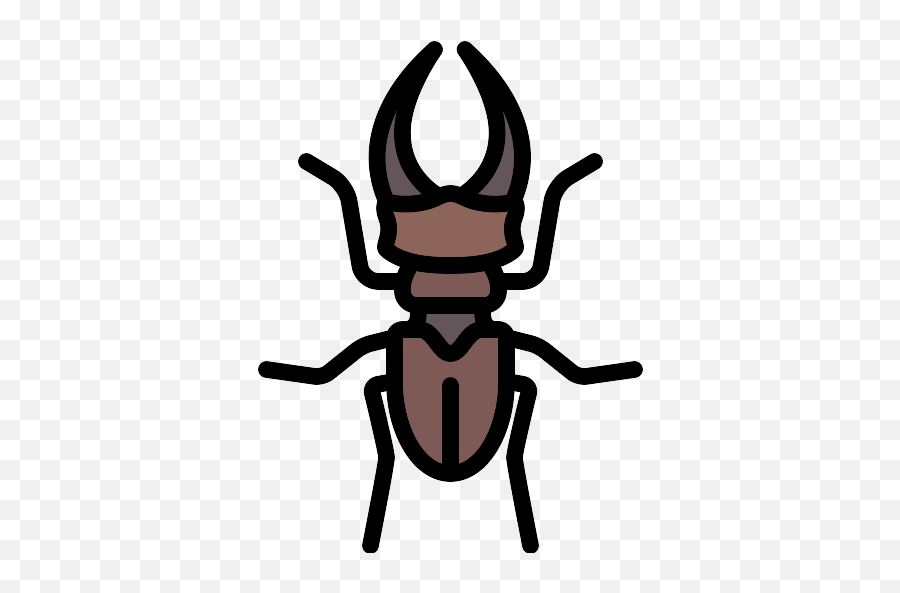 Beetle Insect Vector Svg Icon 3 - Png Repo Free Png Icons Parasitism,Beetle Icon