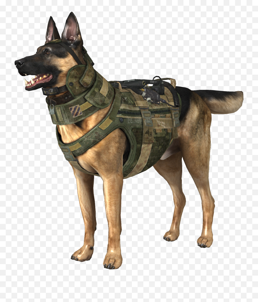 German Shepherd Police Dog - Riley Call Of Duty Ghost Png,Dogs Png