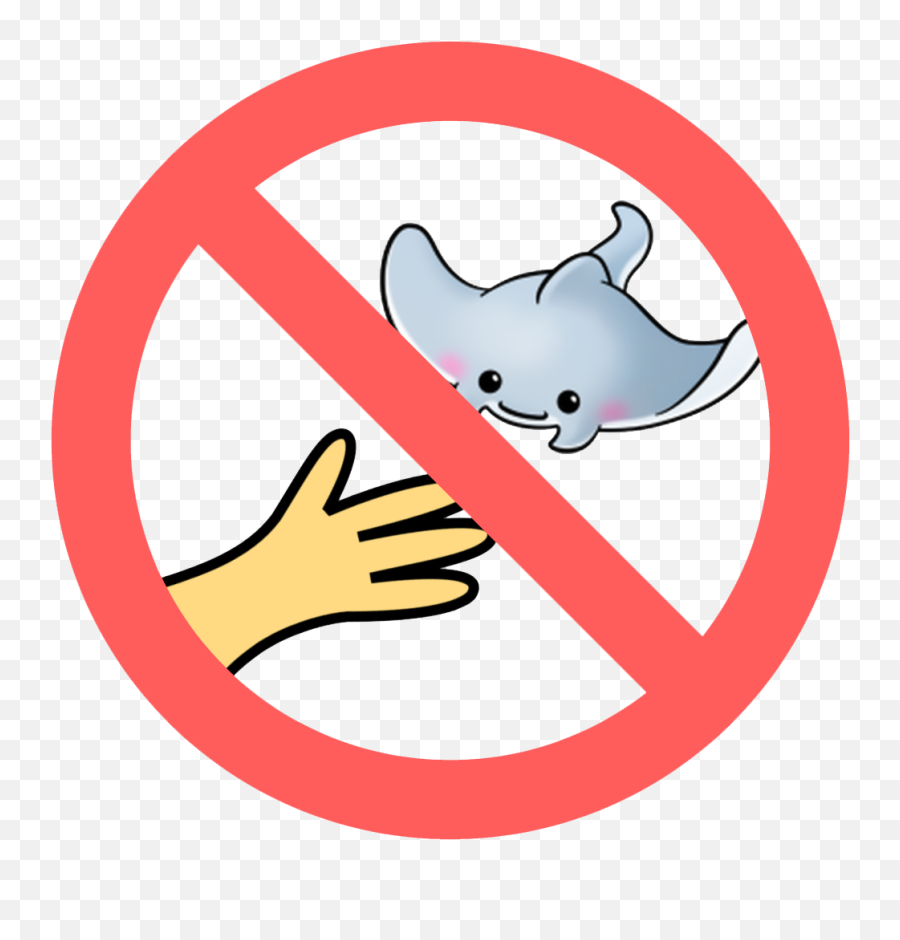 No Touching Or Chasing Marine Life - Do Not Walk In Shoes Png,Icon 1000 Boots
