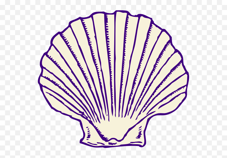 Shell Clipart Png 3 Station - Seashells Black And White,Blue Shell Png