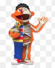 Hidden Dissectables Sesame Street Blind Box Series By Jason Freeny X Mighty Jaxx - Jason Freeny Sesame Street Png,Sesame Street Characters Png