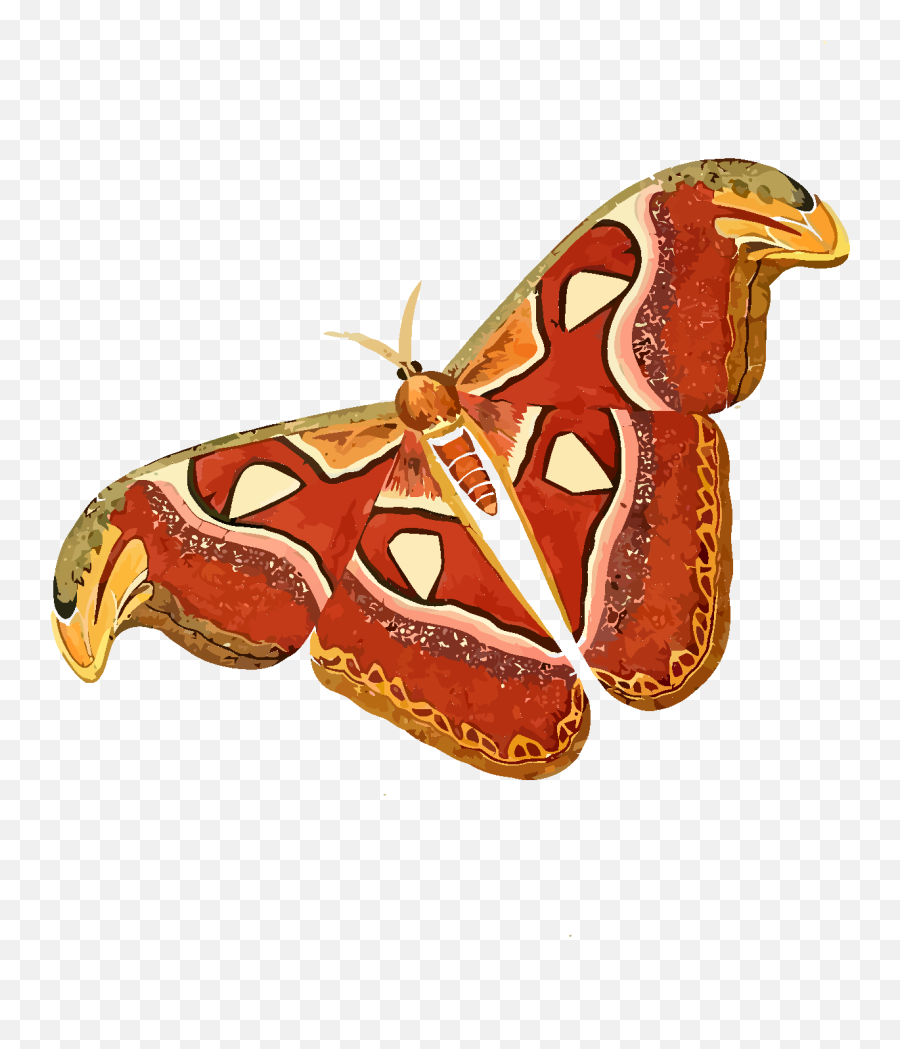 Mariposa Azul Png Svg Clip Art For Web - Cartoon Moth Png,Mariposa Png