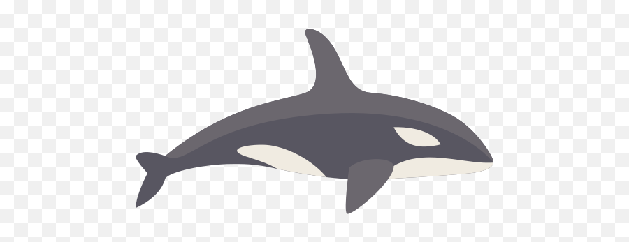 Orca Png Icon - Transparent Killer Whale Icon,Orca Png