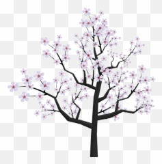 Japanese Cherry Blossom Tree - Cartoon png