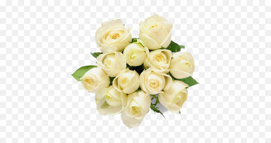 Bouquet Of White Roses Png Picture - White Flower Buke,White Roses Png