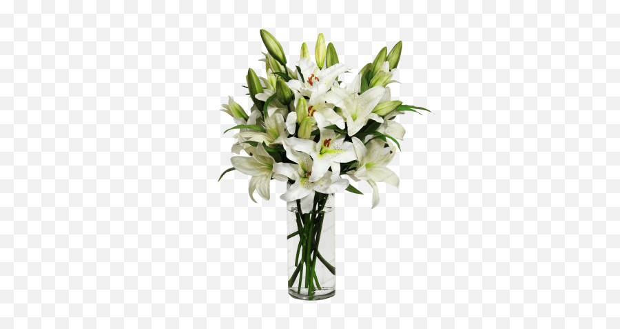 Download Lily Free Png Transparent Image And Clipart - Flowers In A Vase Png,Lily Png