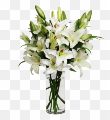 Download Lily Free Png Transparent Image And Clipart - Flowers In A Vase Png,Lily Png
