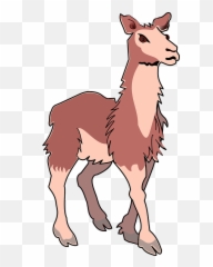 Clipart - Desenho Colorido De Lhama Png,Llama Png
