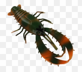Full Size Png Image - Centipede,Centipede Png