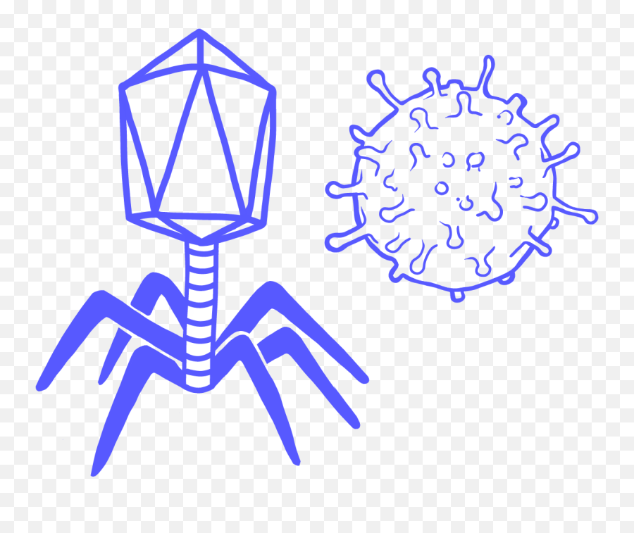 Virus - Innovative Genomics Institute Igi Bacteriophage Png,Virus Png