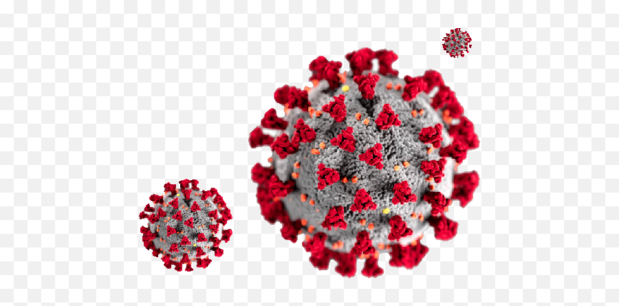 Home Tricare - Corona Virus Gif Png,Png Pics