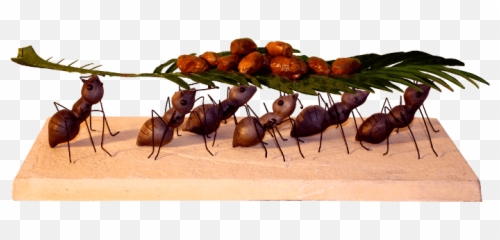 Blueprints - Carpenter Ant Png,Tiny Png