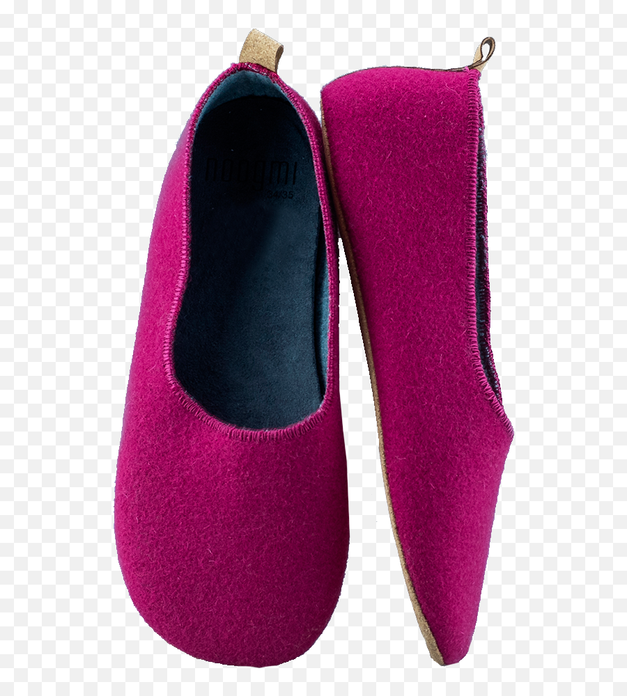 Burel Ballerina Shoes - Ballet Flat Png,Ballerina Shoes Png