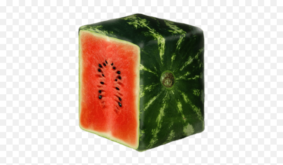 Sliced Square Watermelon Transparent Png - Stickpng Do Watermelons Look Like In Japan,Melon Png
