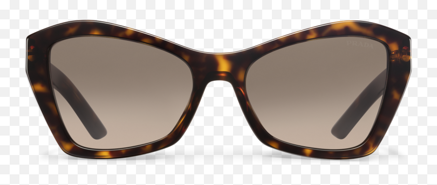 Prada Disguise Sunglasses - Reflection Png,Disguise Png