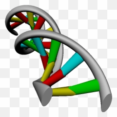 Download Hd Dna Strand Png - Dna 3d Png,Dna Strand Png