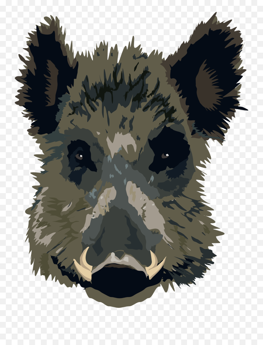 Wild Pig Face - Beast Lord Of The Flies Png,Flies Png