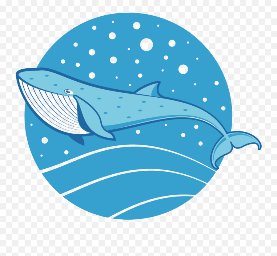 Blue Marine Biology Whales Dolphins And - Whale Drawing Colored Png,Blue Whale Png