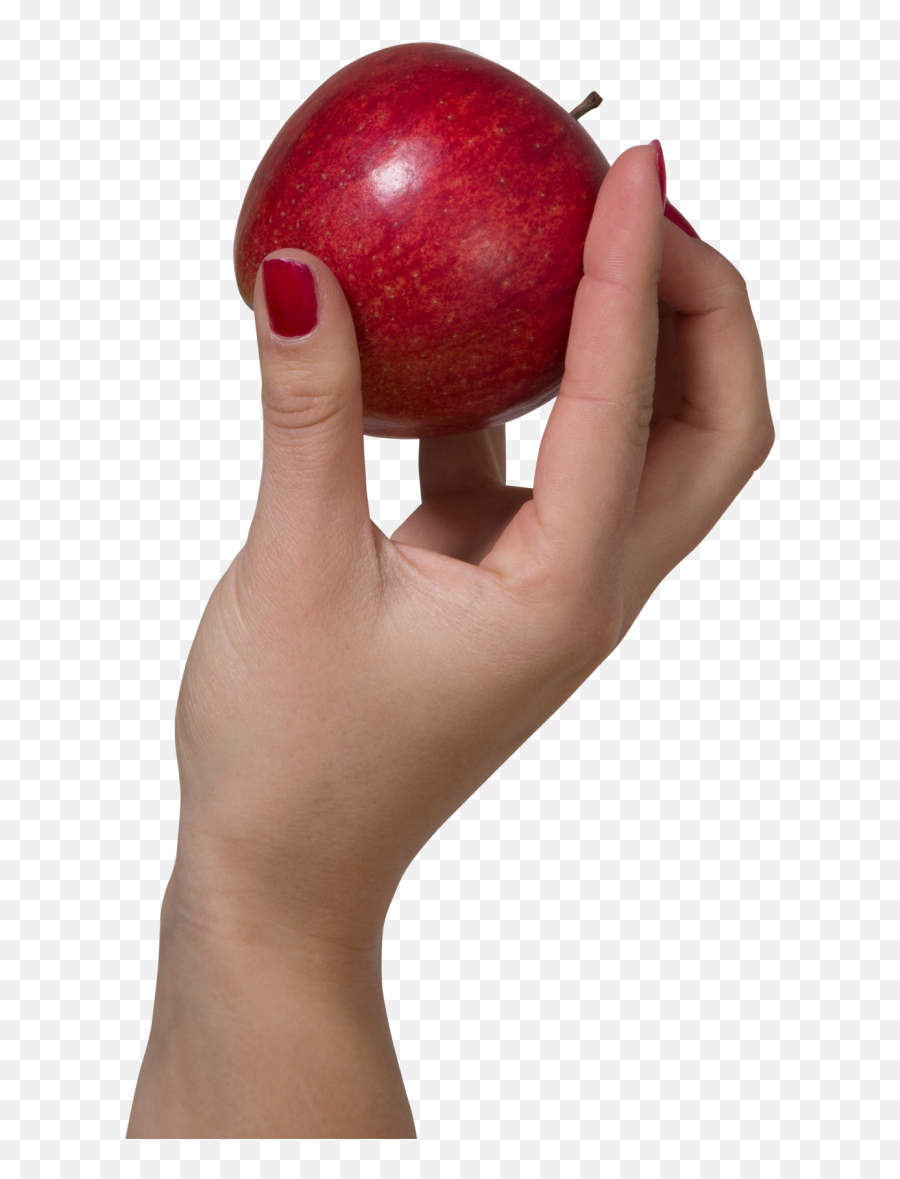 Holding An Apple Png Image - Purepng Free Transparent Cc0 Hand Holding Apple Transparent,Apple Png Transparent