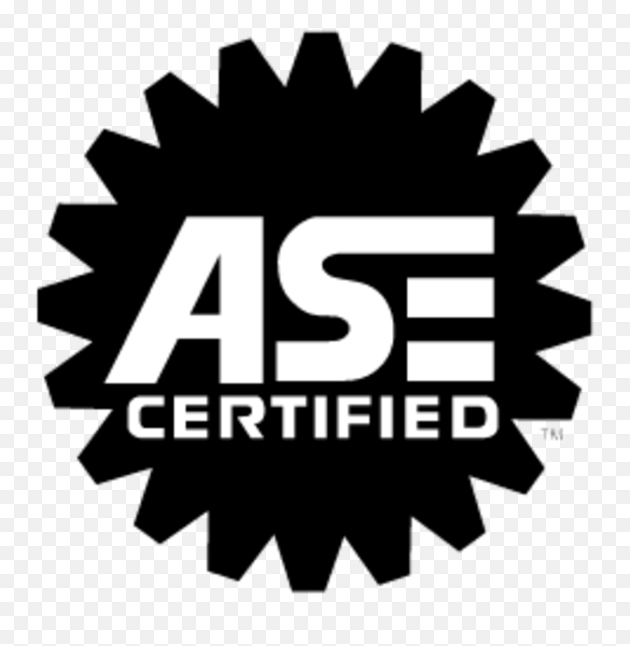 About Shell Rapid Lube Madison Nc Oil Change Auto Repair - Ase Certified Png,Shell Gas Station Logo