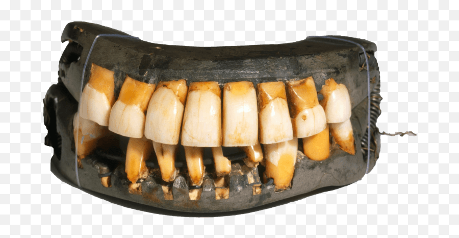 George Washingtonu0027s Teeth Mount Vernon - George Washington Wooden Teeth Png,Dentures Png