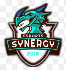 Synergy - Automotive Decal Png,Synergy Clan Logo