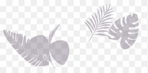 Webflow Expert Websites Finsweet - Pollinator png