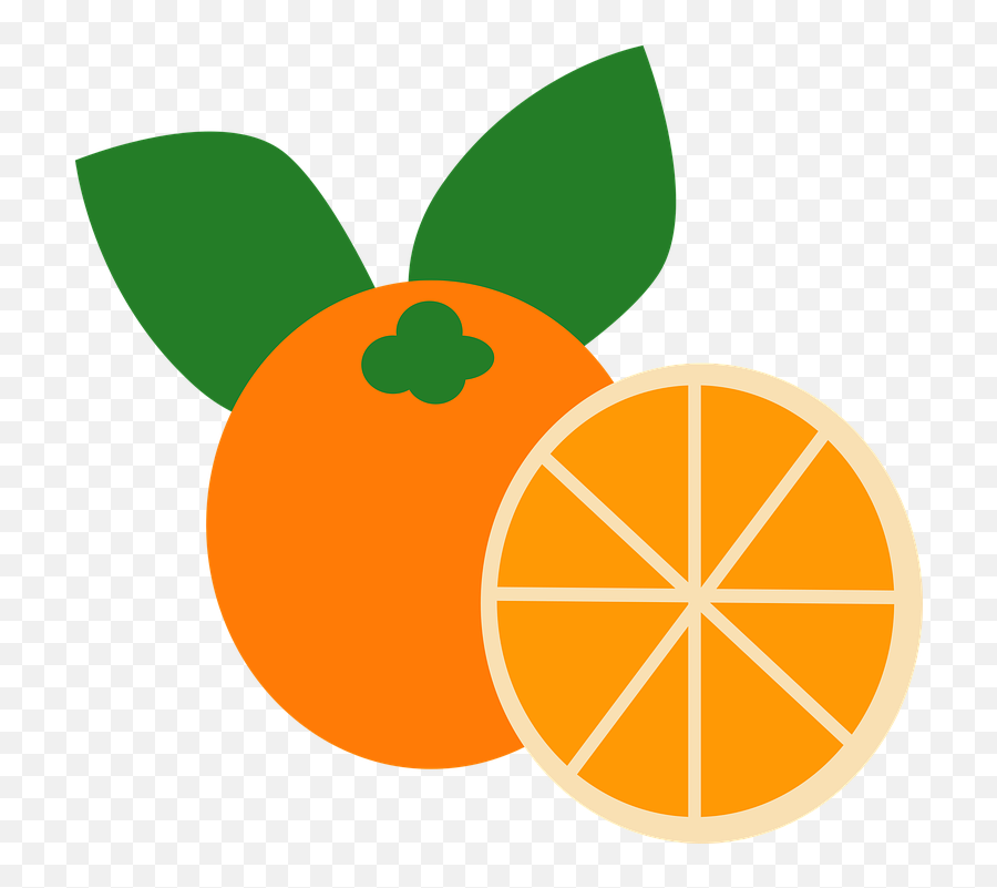 Orange Fruit Design Elements Web - Free Vector Graphic On Vector Graphics Png,Web Icon Vector