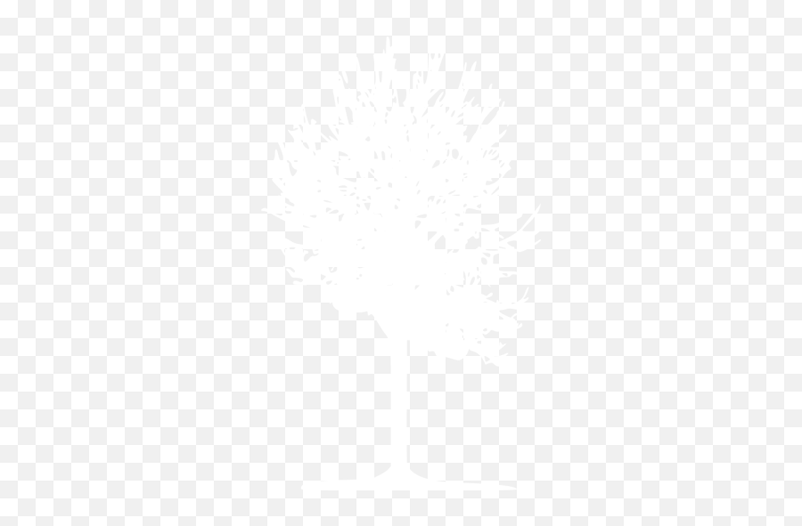 White Tree 2 Icon - White Tree Icon Transparent Png,White Tree Icon