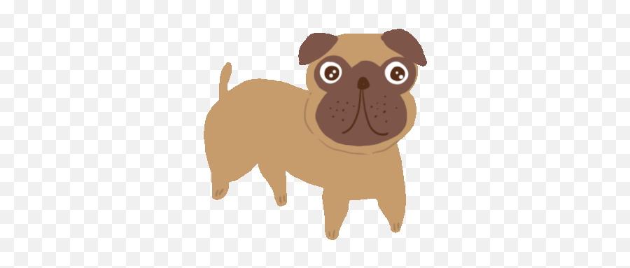 Dog Pug Sticker - Dog Pug Whats Up Discover U0026 Share Gifs Cachorro Gif Animado Png,Pug Icon