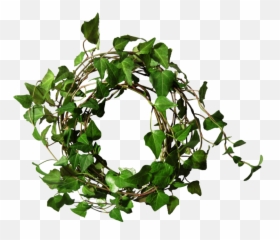 Ivy Border Png - Ivy Round Png,Ivy Png