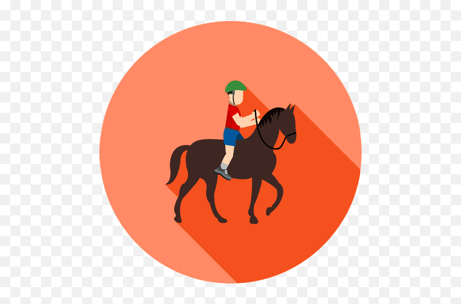 Activities - Connemaranet Horse Riding Icon Png,Horse Riding Icon