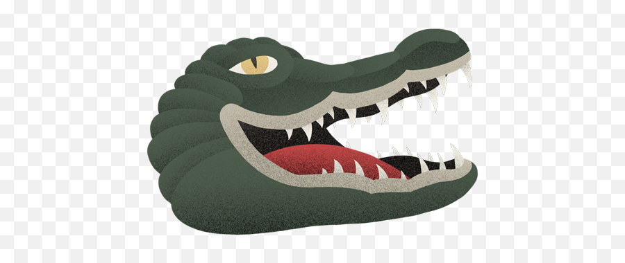 Donu0027t Care - Ousel American Crocodile Png,Gator Png