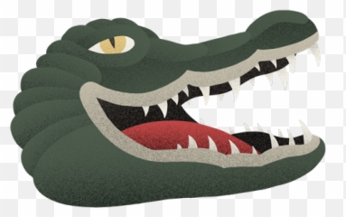 Donu0027t Care - Ousel American Crocodile Png,Gator Png
