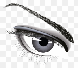 Cookies Clipart Eye Transparent Free For - Eyes Sketch Transparent Background Png,Creepy Eye Png