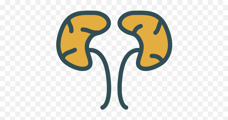 Kidneys Icons - Dot Png,Kidney Icon