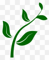 Free Green Transparent Background Png