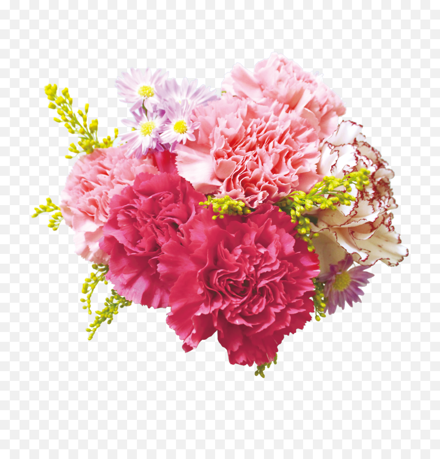 Download Carnation Flowers Png Transparent Background - Transparent Background Real Flowers Png,Wedding Flowers Png