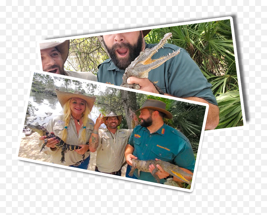 Gatorland - Collage Png,Aligator Png