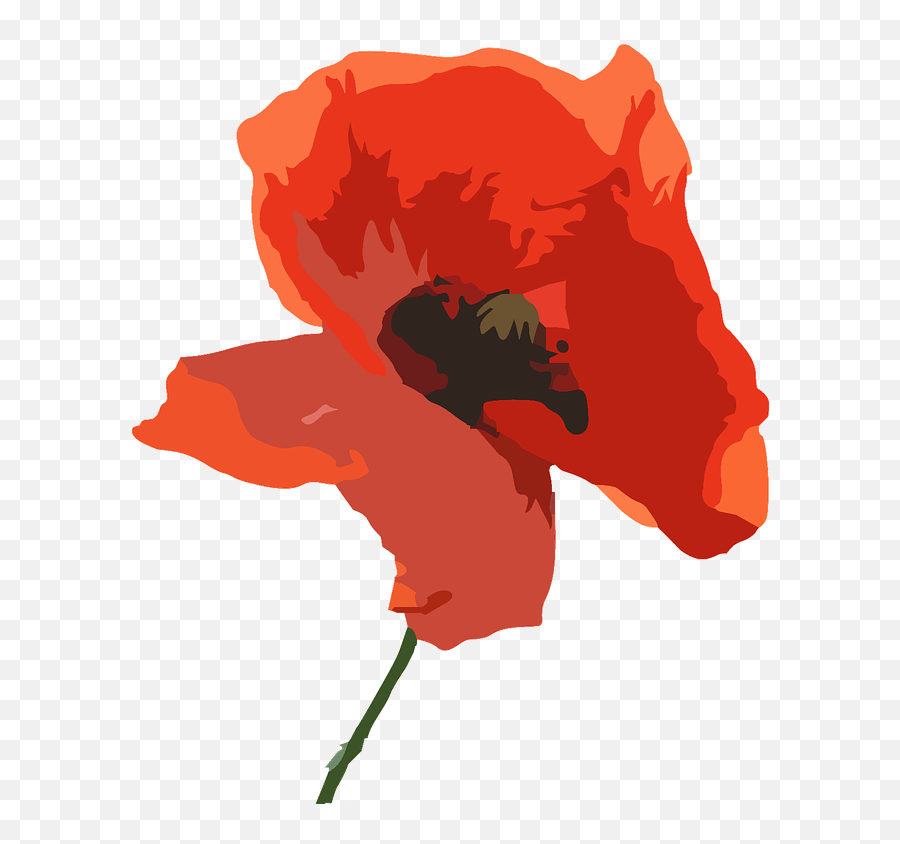 Poppy Flower Purple Red - Peace Prayer For Remembrance Day Png,Poppy Png