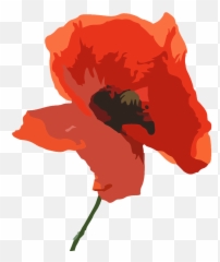 Poppy Flower Purple Red - Peace Prayer For Remembrance Day Png,Poppy Png