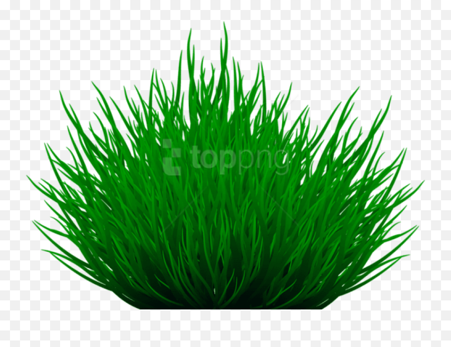 Download Free Png Grass Path Images Background - Portable Network Graphics,Grass Background Png
