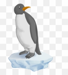 Download Gentoo Penguin Png Image With No Background - Png
