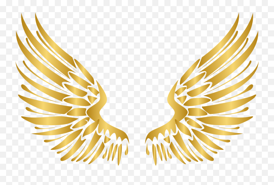 Fairy Wing Png Free Png Wings Transparent Gold Angel Golden Wings Logo Fairy Wings Png Free Transparent Png Images Pngaaa Com - how to get golden wings roblox