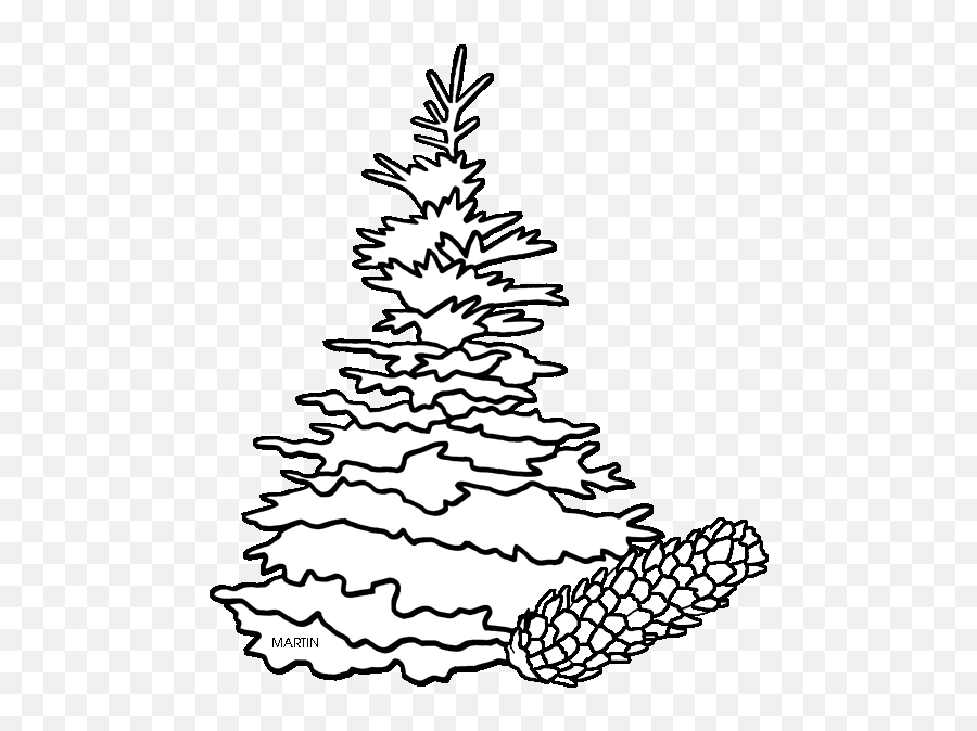 Drawn Pine Tree Black Hills Spruce - Spruce Tree Clip Art South Dakota State Tree Drawing Png,Spruce Tree Png