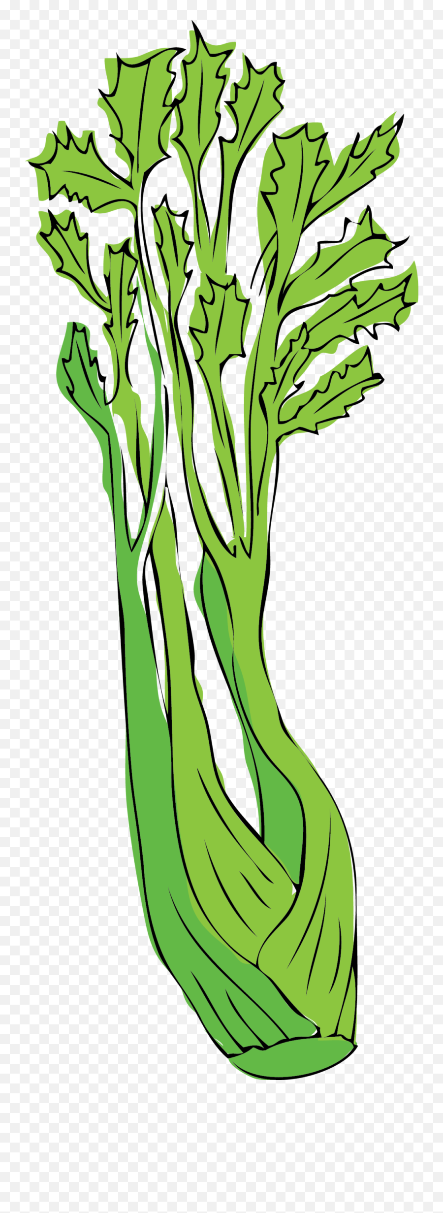 Celery Png - Clip Art,Celery Png