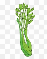 Celery Png - Clip Art,Celery Png