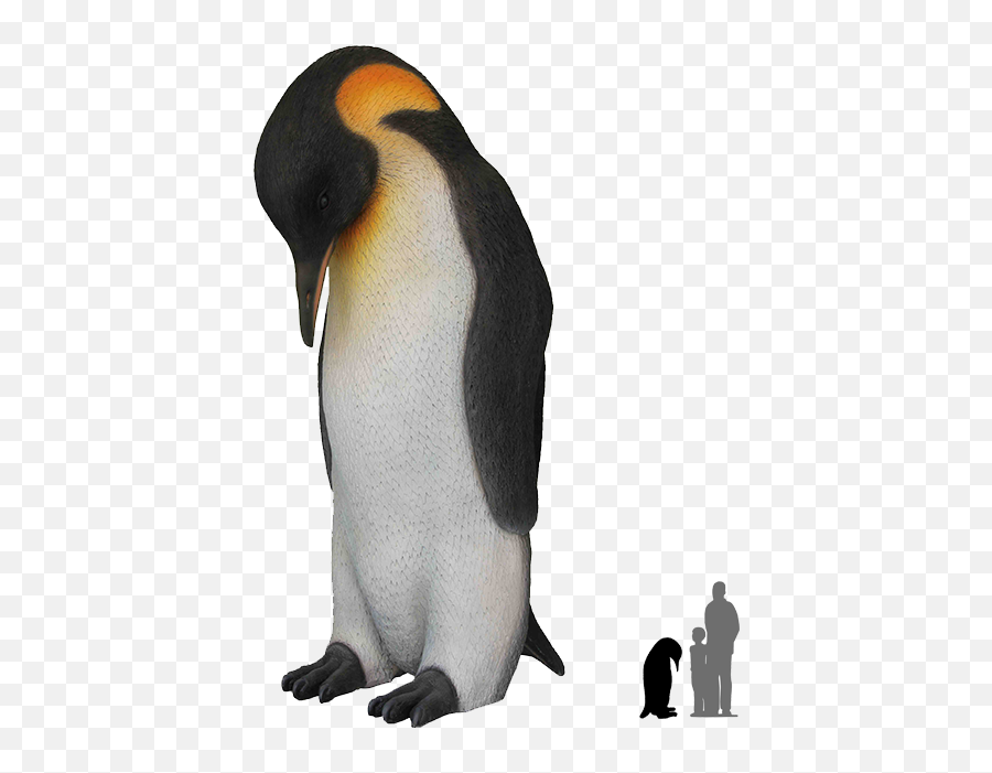 Download - Penguinspngtransparentimagestransparent Emperor Penguin Penguin Transparent Background Png,Penguin Transparent