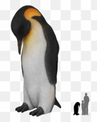 Download - PenguinsPNGtransparentimagestransparent Emperor Transparent Background png